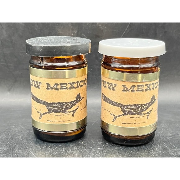 The Unbranded Brand Other - VTG New Mexico Souvenir Salt & Pepper Shakers-Road Runner- Glass Decorative